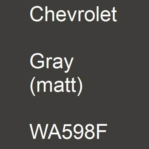 Chevrolet, Gray (matt), WA598F.